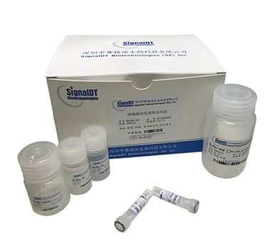 ELISA KIT<br>Medical Device